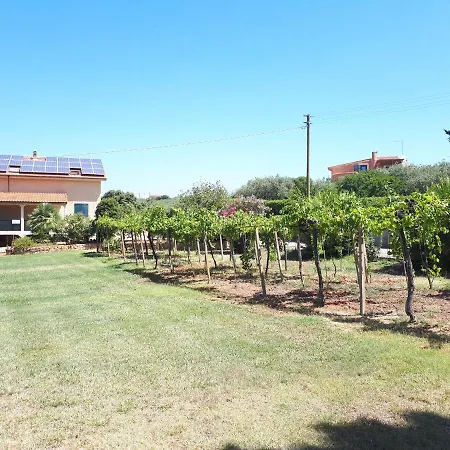 Paradiso