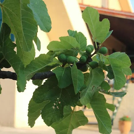Paradiso Appartamento